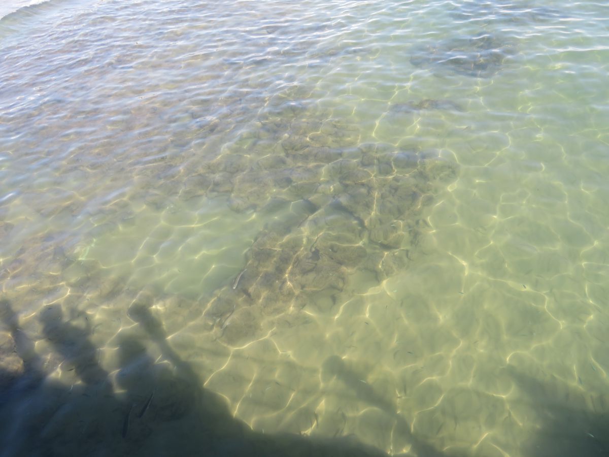 imagini hotel Von Elite